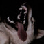Leviathan