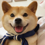 故事你还在听吗