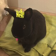 avatar lemonella