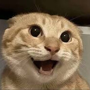 ---下等马分界线---