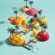 小白是个大帅逼