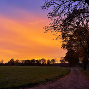 Alwin von rumpetuffs @bandit