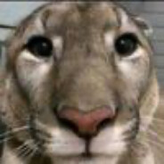 интимный снайпер