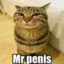 Mr Penis