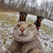 ℡ぐ☧ ☨☧ ☨情♠怀♔♔♔