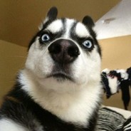 无敌是多么寂寞