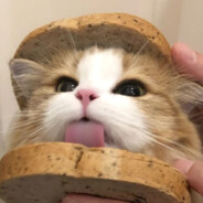 胡说八道小鼠鼠