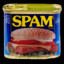 Spam Margera