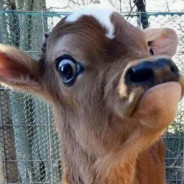 我看着你呢！！！