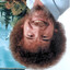 Ross Bob