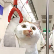 憋不住屎被护工暴打