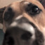 DouG