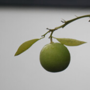 jionath