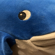 シ турбошитбл