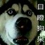 东北手冲王鲁到昏