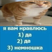 Я вам нравлюсь?