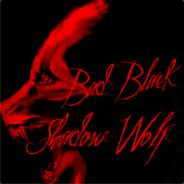 "BAD_BLACK_SHADOW_WOLF"