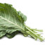 Collared Greens