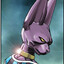 Beerus The Destroyer