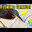Green Heron Gaming