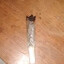 tuca detonadora
