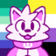 Kohara The Cat
