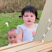 干拉，然后玩手机