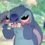 Stitch chapado