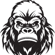 jadodt031 - steam id 76561199884229243