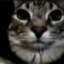 Misha