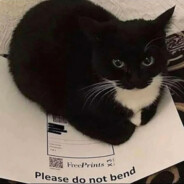 Xentai | Хлебушек