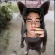 qzwek
