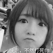 我们仍未知道那天所看见的花的名字