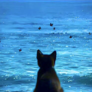 打瞌睡的阿哲zZzZ