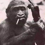 Mosin - steam id 76561199020918650