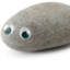 Pet Rock