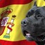 Presa Canario