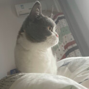 丶Mmmmmmmmmmmmmmmmmmmm