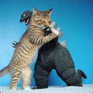 ascentdescent - steam id 76561197964318471