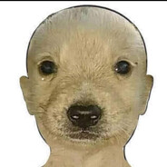 Gazi avatar