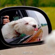 下分