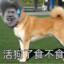 哇珍德食泥鸭