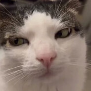 𝕄𝕖𝕣𝕔𝕦𝕣𝕪