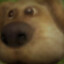 GWONK