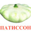 ПАТИССОН