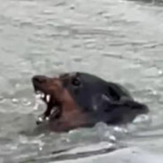 垃圾堆里的孩子