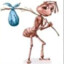 valdo