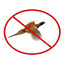 Pheasant Hater