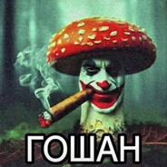 Гошан Steam avatar