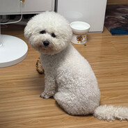 柔软身体硬硬牛